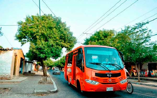 Buses TransValle en Valledupar / Foto: El Pilón 