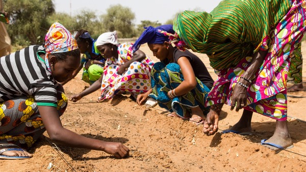 El proyecto de la Gran Muralla verde articula también un gran número de proyectos sociales y ambientales / Foto: Greatgreenwall.org