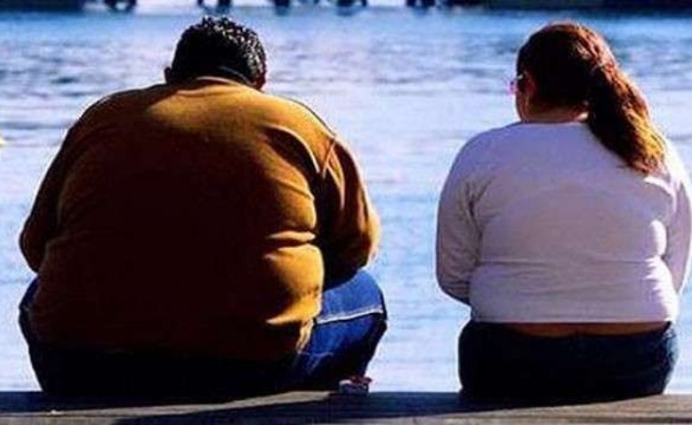 La obesidad: Problema grande, solución pequeña