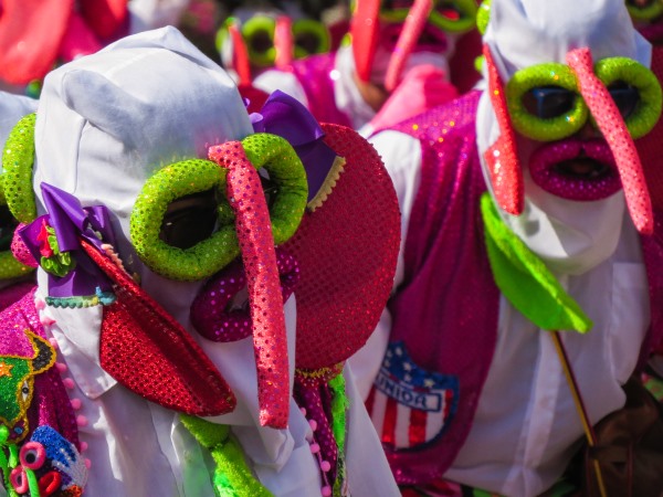 La marimondá, gran personaje de los carnavales / Foto: Nestor Salon