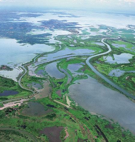 La depresión momposina es un territorio de aguas, bañada por cuatro grandes ríos: Magdalena, Cesar, Cauca y San Jorge / Foto: Universidad Nacional