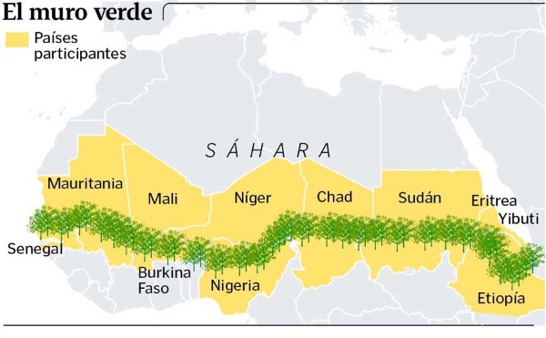Once países del Sahel se han sumado a la iniciativa de la Gran Muralla Verde Africana / Foto: Murcia Noticias 