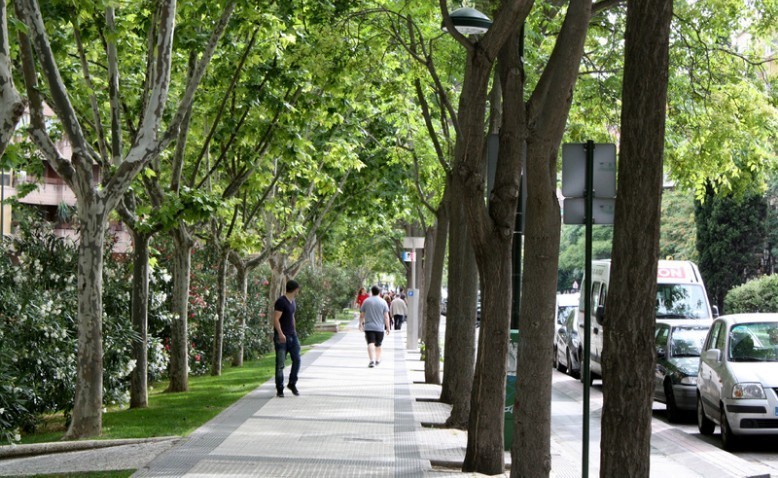 Arborización urbana y calidad de vida: una relación inevitable 