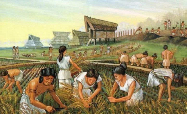 Las culturas prehispánicas: desarrollo de la agricultura y la orfebrería 
