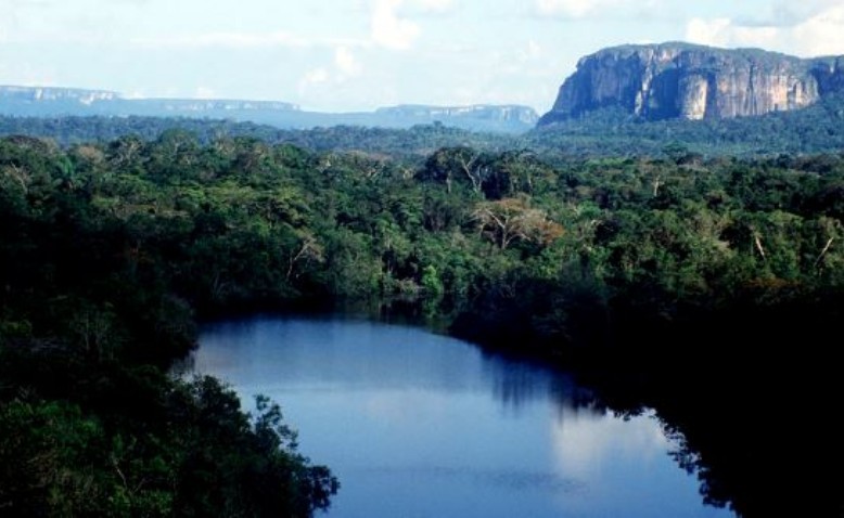 Pocas hectáreas protegidas para un país tan rico en biodiversidad 