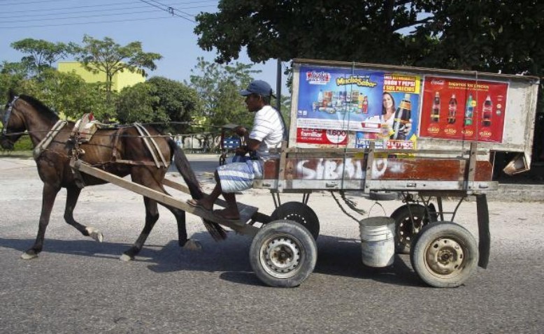 Vehículos de tracción animal en Valledupar