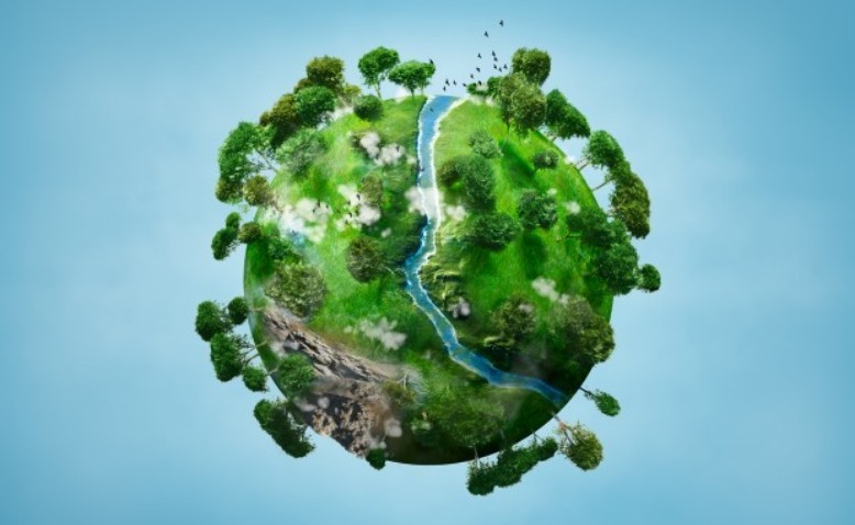 Ética ambiental