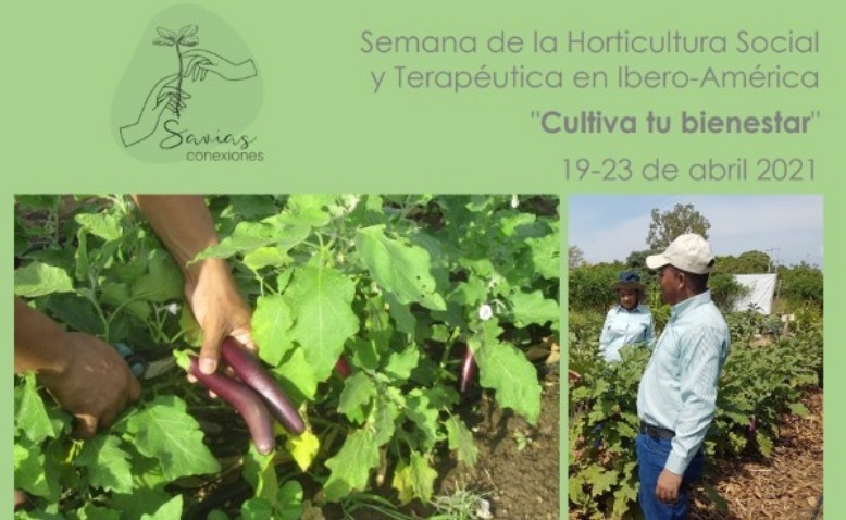 Cultiva tu bienestar, una iniciativa que busca fomentar la horticultura en Iberoamérica
