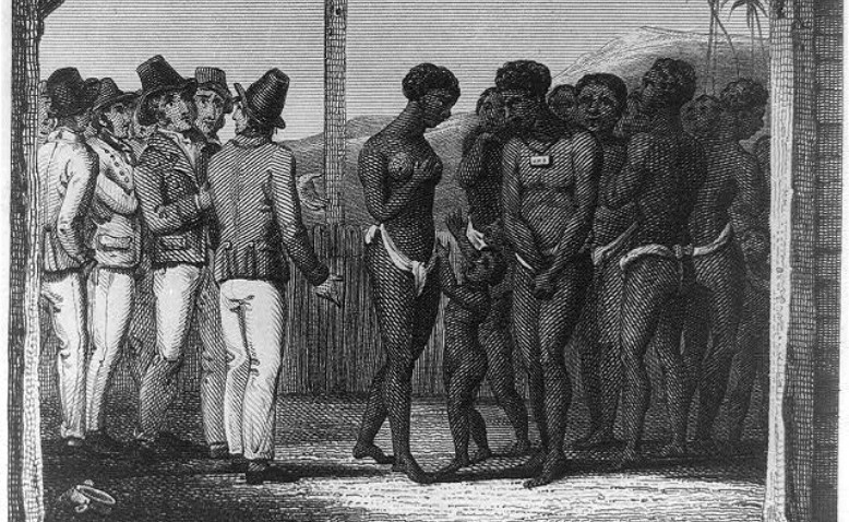 Los periodos de la trata negrera y sus peculiaridades en Cartagena de Indias 