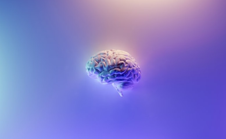 Las neurociencias y siete conclusiones valiosas para la vida y los negocios