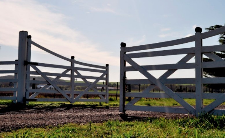 Agro y folclor: perspectivas de futuro para el Cesar 