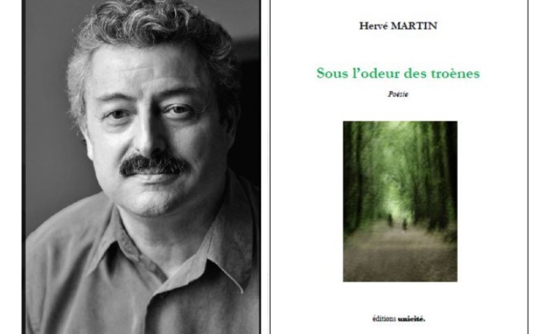 Sombras en el callejón y otros poemas de Hervé Martin 
