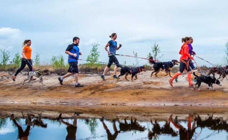 Canicross: correr deportivamente con su perro
