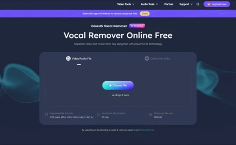Los 5 mejores extractores de acapella en 2025 [En línea / Fuera de línea]
