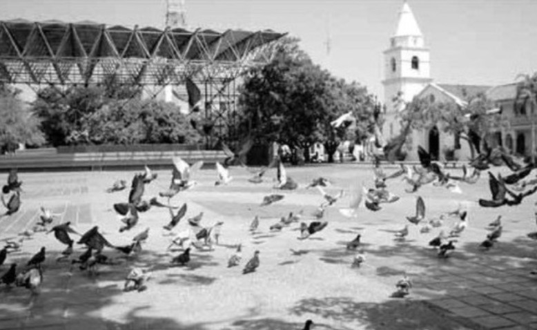 Cada vez que veo por la ventana 