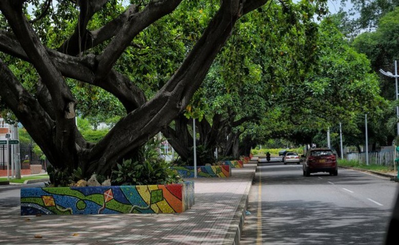 Descubriendo Valledupar