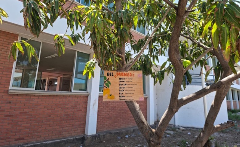 Los árboles también enseñan, una nueva mirada a la educación ambiental en Barrancas-Guajira